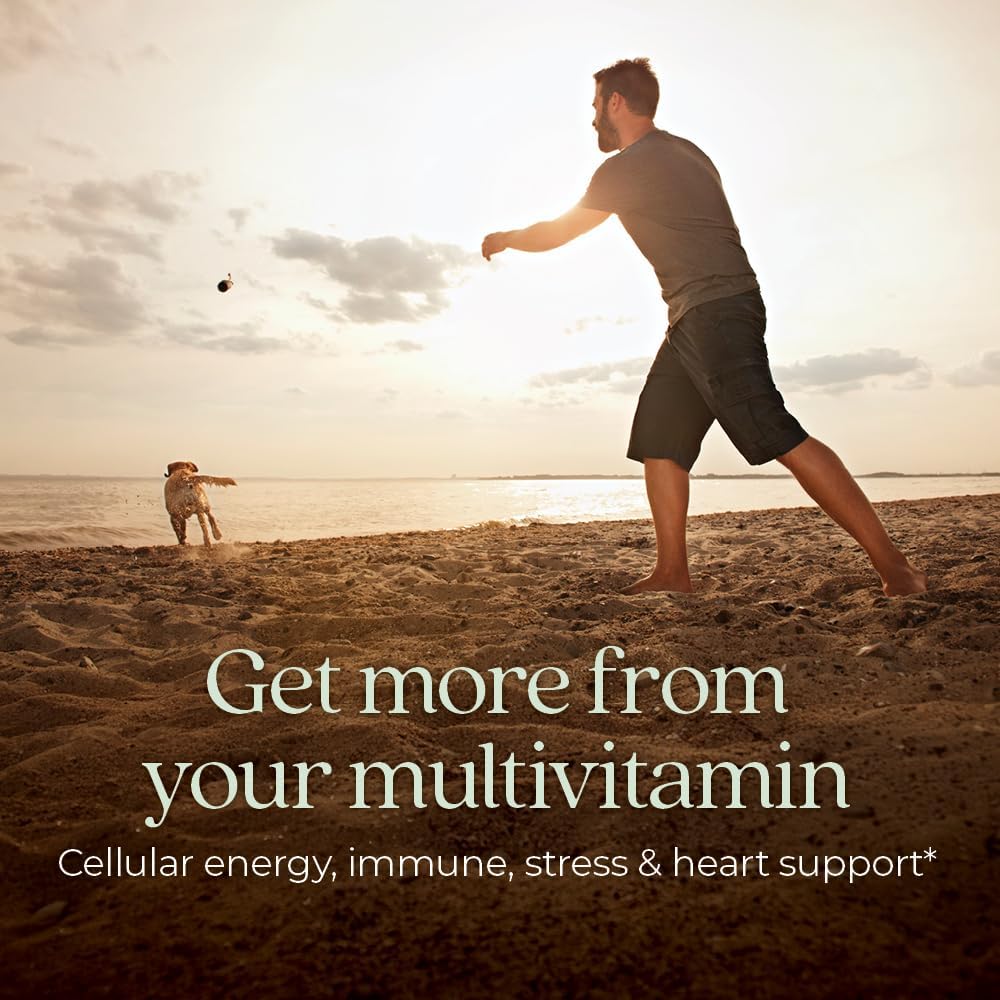 New Chapter Men's Multivitamin for Immune, Stress, Heart + Energy Support with Fermented Nutrients - Every Man's One Daily, Made with Organic Vegetables & Herbs, Non-GMO, Gluten Free - 48 ct