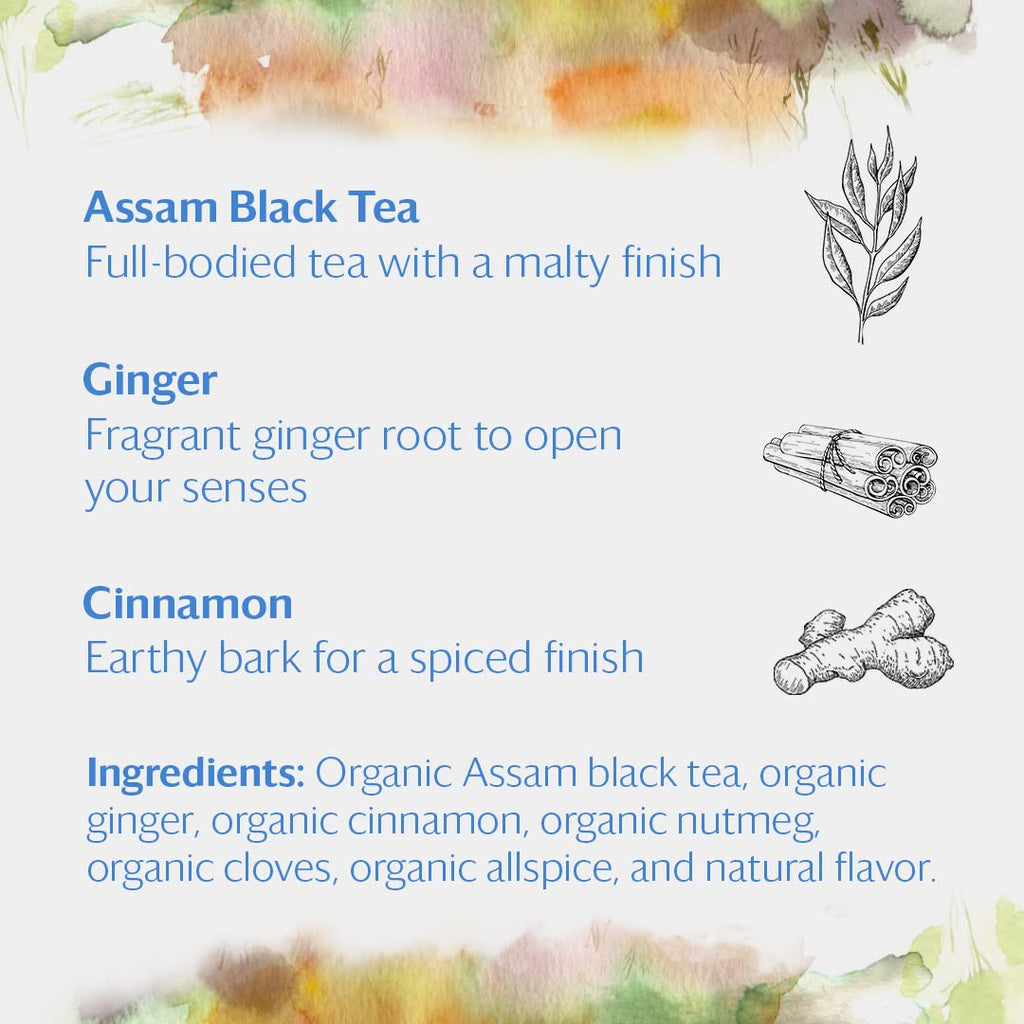 Grace Farms Organic Classic Chai Black Tea, 16 Pyramid Sachets | Ginger & Spices | Fairtrade & Kosher |Gives Back 100% of Profits