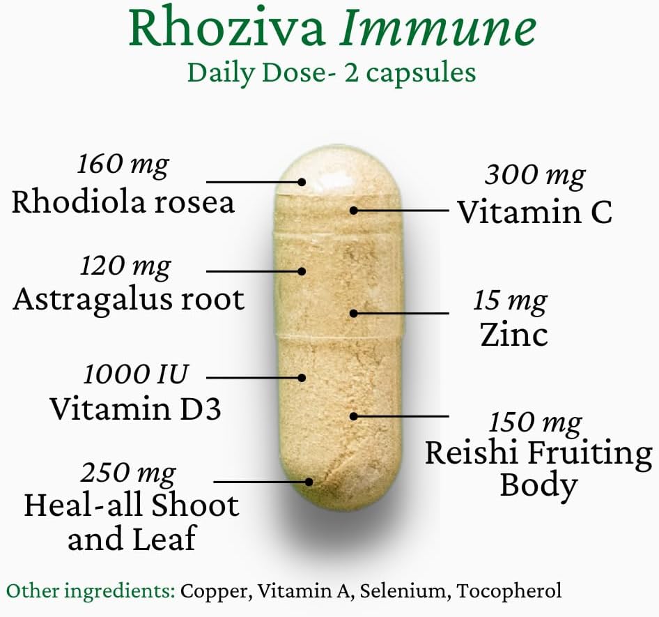 Immune Support, Energy Booster with Vitamin C, D3 and Zinc Supplement, Rhodiola Rosea, Reishi Mushroom Extract, Astragalus, Overall Wellness and Daily Habit - 60 Capsules