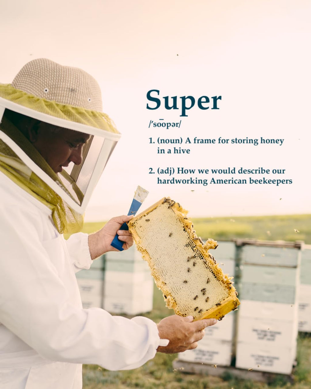 Local Hive Orange Blossom Raw & Unfiltered – 16 oz | 100% Pure U.S. Honey | Natural Sweetener Sourced from American Bees & Beekeepers | Bright Citrus Floral Flavor | Ideal for Tea, Baking & Cooking