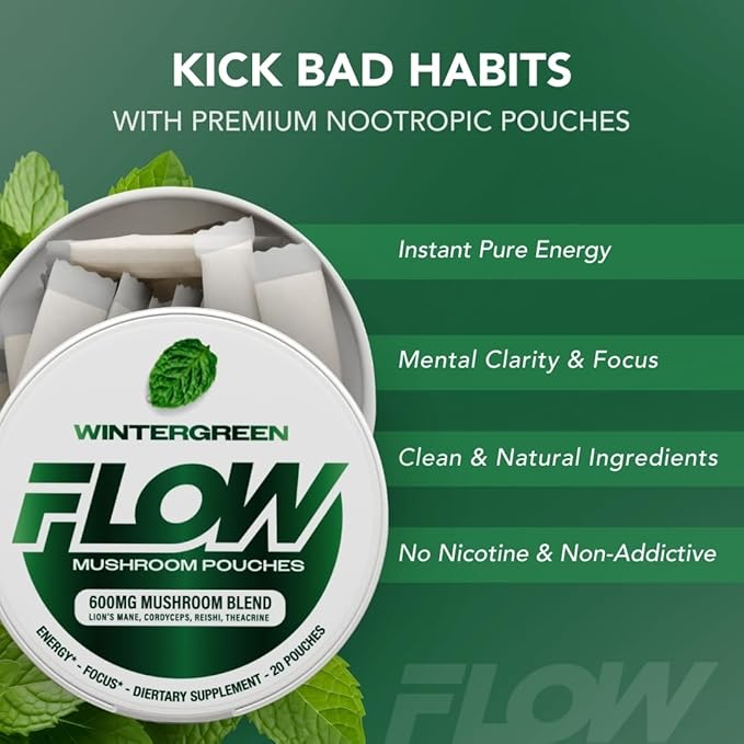 Mushroom Nootropic Pouches - 600mg Organic Mushroom Energy Ultra Pouches with Lion's Mane, Reishi, Cordyceps for Focus & Clean Energy - Zero Caffeine or Sugar (5 Can Pack, Wintergreen)