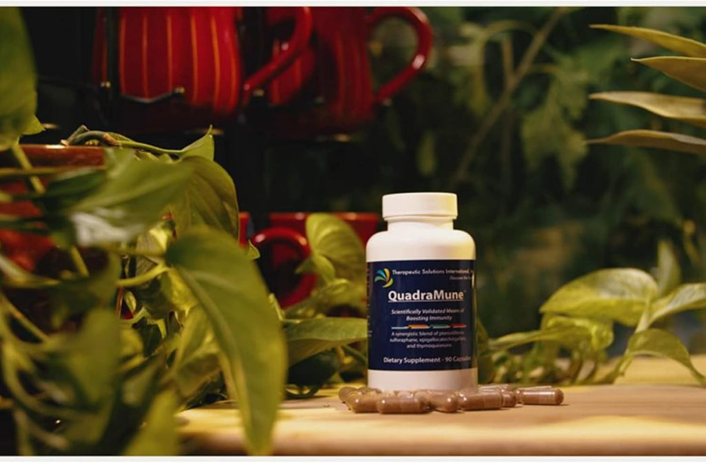 Multi-Patented All Natural Dietary Supplement for Immune Support with a Synergistic Blend of Pterostilbene, Broccoli Sprout Extract, Green Tea Extract, & Nigella Sativa