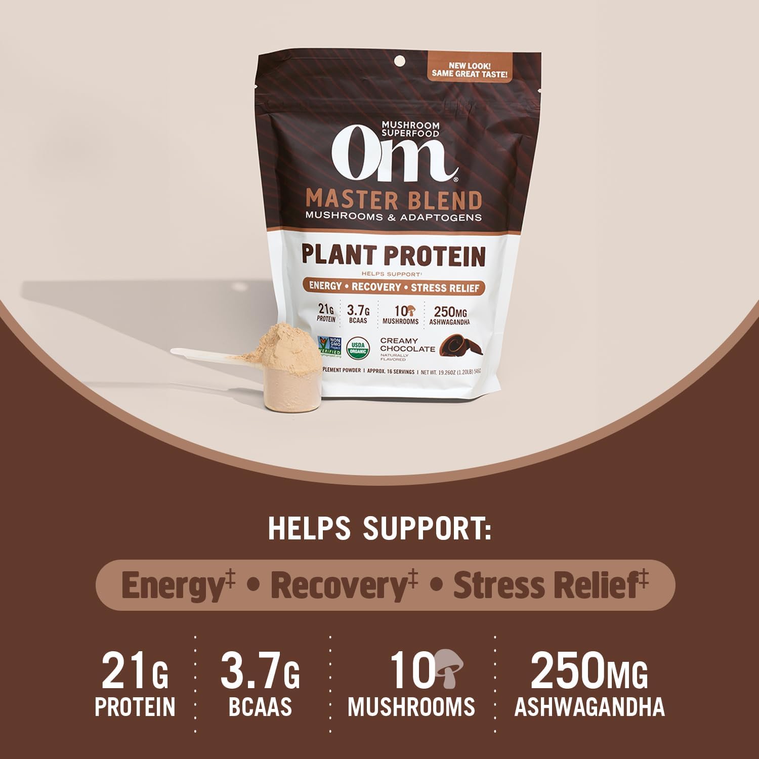 OM MUSHROOM SUPERFOOD Master Blend Creamy Chocolate Protein Powder, 16 Servings, Plant-Based with 10 Mushroom Complex for Recovery & Energy, GLP-1 Support