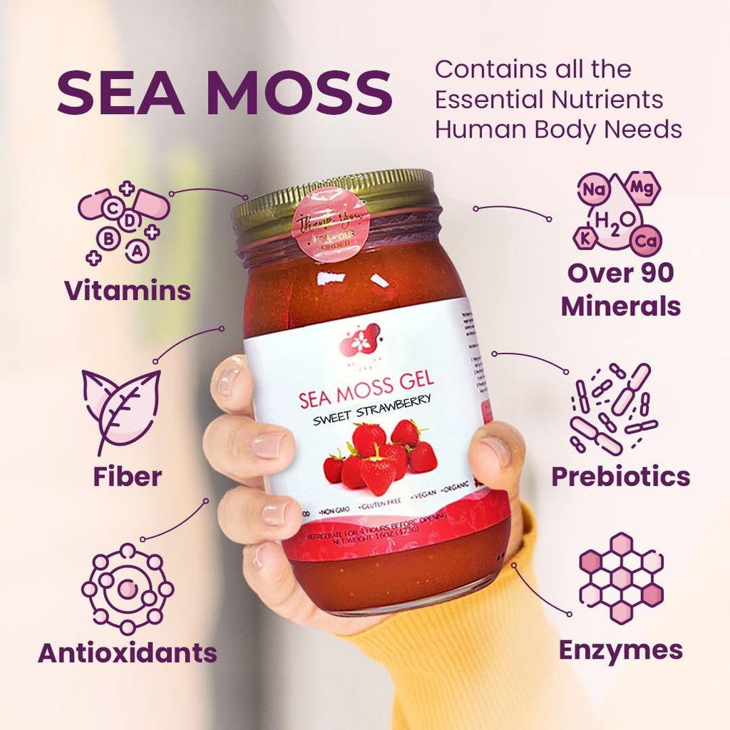 Healthy Herbs Sea Moss Gel (Sweet Strawberry) Wildcrafted from Jamaican St Lucia Gold Seamoss | Wild-Harvested Superfood With Over 90 Essential Vitamins & Minerals | Vegan, Non-GMO, US-Made (16 oz.)