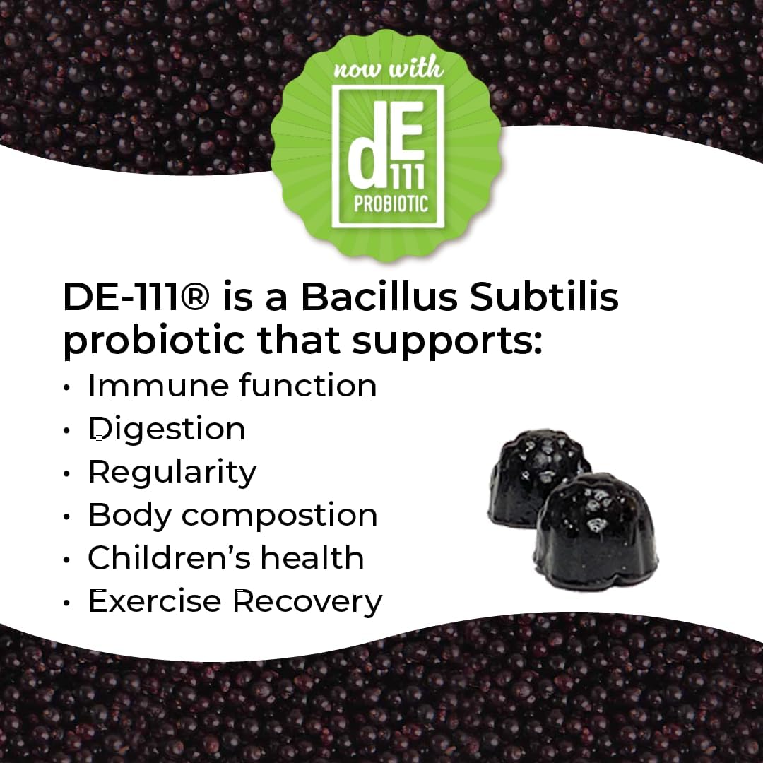 Norm's Farms Organic Elderberry Gummies - Daily Immune Support for Adults & Kids with Zinc, DE111 Probiotic, Vitamin C - Made in USA, 3rd Party Tested - Vegan, Gluten-Free, Kosher, Non-GMO, 60 Gummies