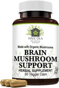 Brain Mushroom Support – Non-GMO & Kosher Certified Supplement with Potent Mushroom Blend for Enhanced Mental Clarity, Energy, Focus, Memory Function & Cognitive Health