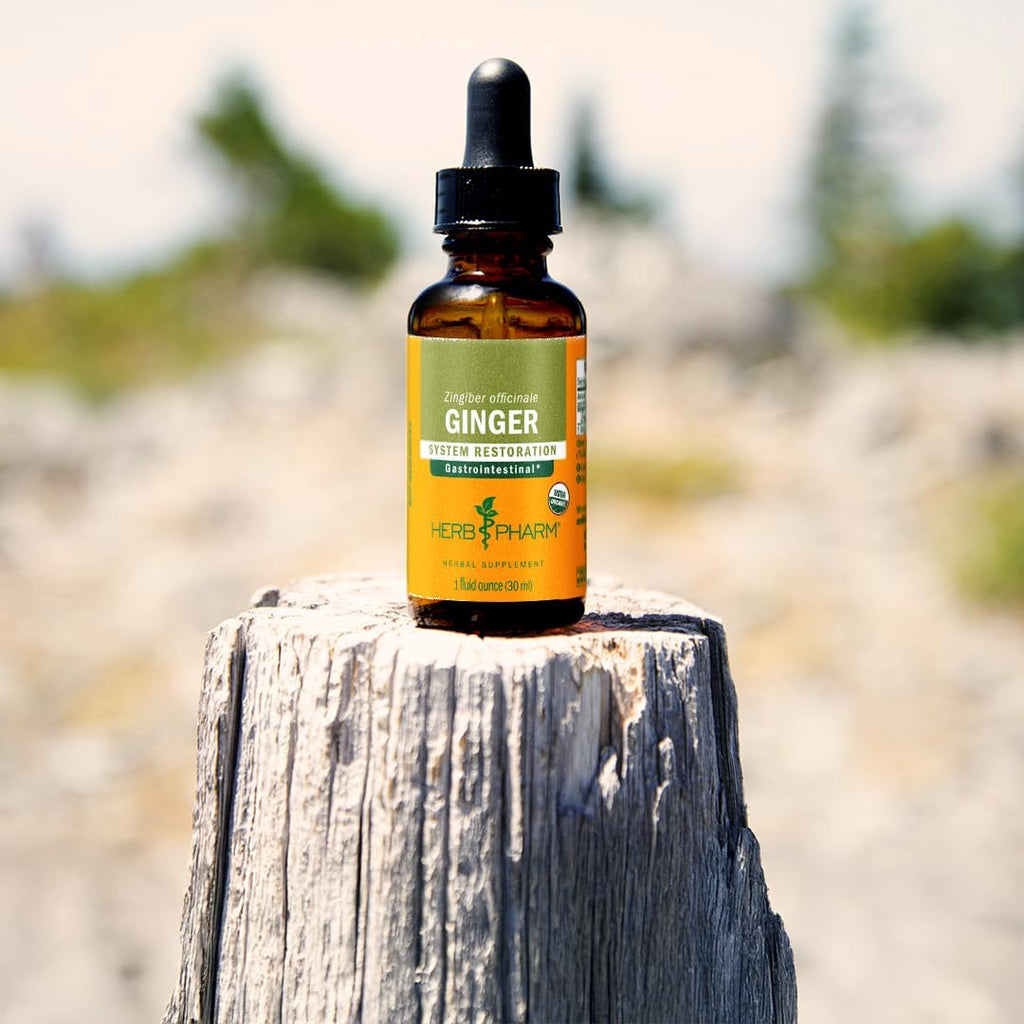 USDA Organic Ginger Root Extract*: Digestion & Circulatory Support | Ginger Tincture for Occasional Nausea | Non-Bitter Vegan Digestive Supplement | 4 Oz, Up to 3 Months Supply
