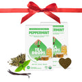 Tea Drops Lightly Sweetened Organic Tea Bulk Box | Sweet Peppermint | Caffeine Free | Iced or Hot Herbal Tea Beverages Gift Set | Includes Organic Peppermint Oil & Spearmint Leaves | 10 Drops per Box
