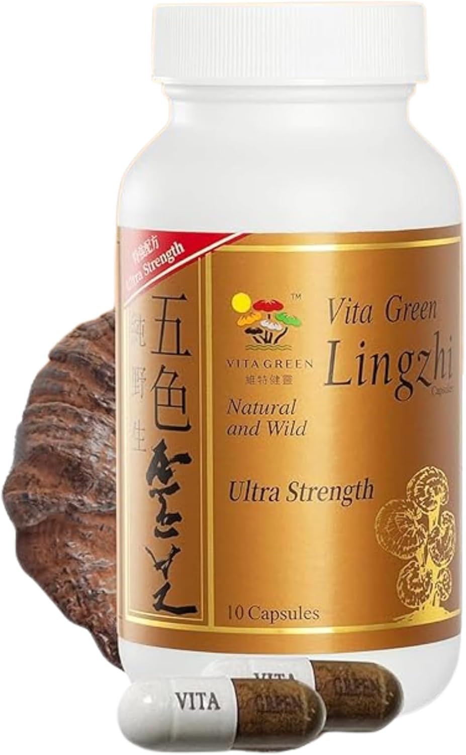 Vita Green Lingzhi Mushroom Capsules (五色靈芝) – Pure Reishi Supplement with Natural Antioxidants for Wellness, Energy, and Immune Support – 10 Capsules