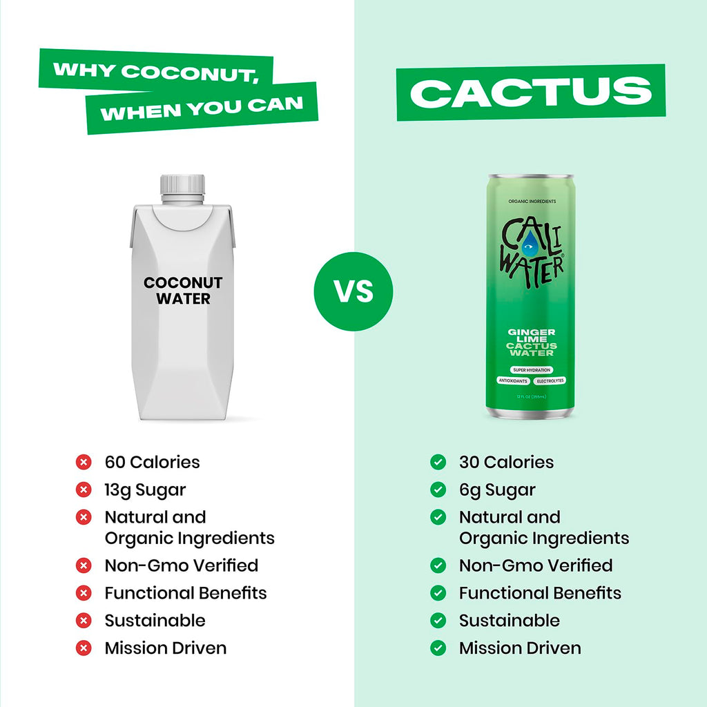 Caliwater - Organic Cactus Water - Ginger and Lime - 5g Sugar, 25 Calories - Coconut Water Alternative - Natural Plant Based Hydration - Skin Care, Electrolyte Drinks - Flavored Water - 12 Cans