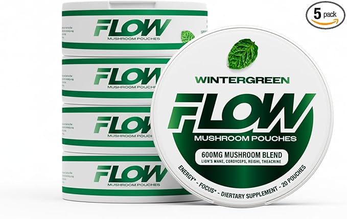 Mushroom Nootropic Pouches - 600mg Organic Mushroom Energy Ultra Pouches with Lion's Mane, Reishi, Cordyceps for Focus & Clean Energy - Zero Caffeine or Sugar (5 Can Pack, Wintergreen)