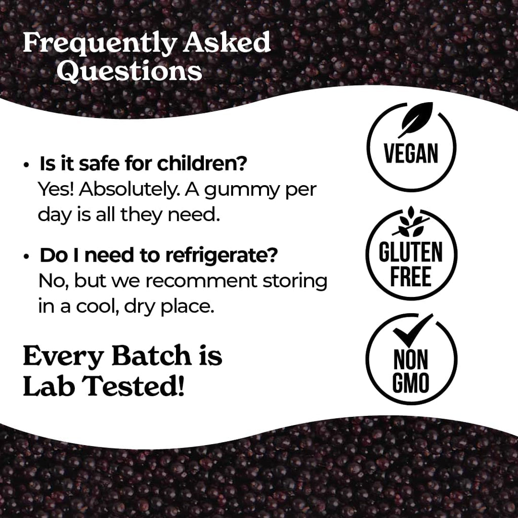 Norm's Farms Organic Elderberry Gummies - Daily Immune Support for Adults & Kids with Zinc, DE111 Probiotic, Vitamin C - Made in USA, 3rd Party Tested - Vegan, Gluten-Free, Kosher, Non-GMO, 60 Gummies