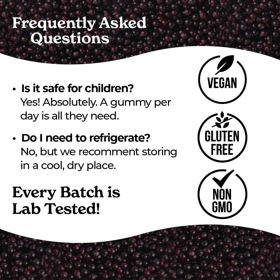 Norm's Farms Organic Elderberry Gummies - Daily Immune Support for Adults & Kids with Zinc, DE111 Probiotic, Vitamin C - Made in USA, 3rd Party Tested - Vegan, Gluten-Free, Kosher, Non-GMO, 60 Gummies