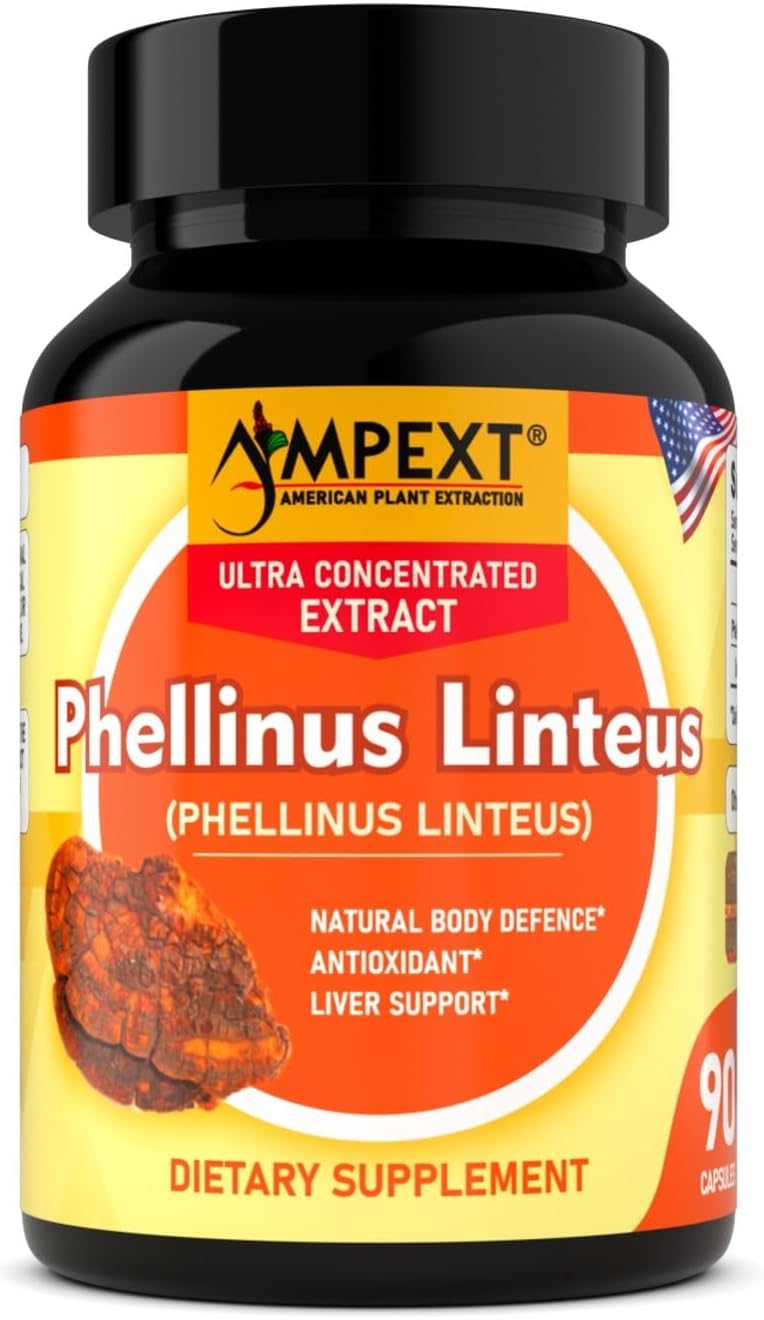 Phellinus linteus Mushroom Extract - Premium Quality, Only Fruiting Bodies, Antioxidant, Immunity Booster, Liver Support, 90 Veg Caps.