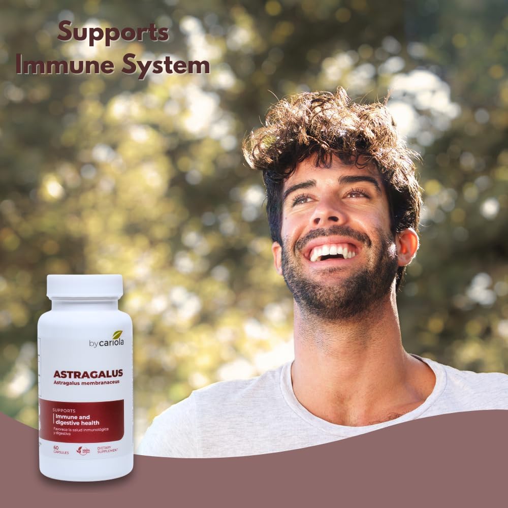 Astragalus Root Capsules - Immune & Digestive Support Supplement - Natural Formula, Boosts Energy, Improves Digestion - Astragalus Membranaceus Extract - 60 Count (30 Servings)