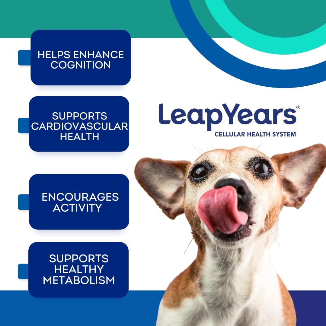 Leap Years Soft Chew Dog Supplement – Supports Healthy Aging, Cognition & Vitality; Veterinarian-Formulated for Brain, Heart & Muscle Health; Powerful NAD Booster & Senolytic Formula, XL Breed