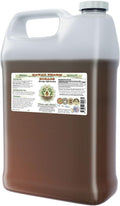 Borage Alcohol-Free Liquid Extract, Borage (Borago Officinalis) Dried Flower and Herb Glycerite Hawaii Pharm Natural Herbal Supplement 64 oz