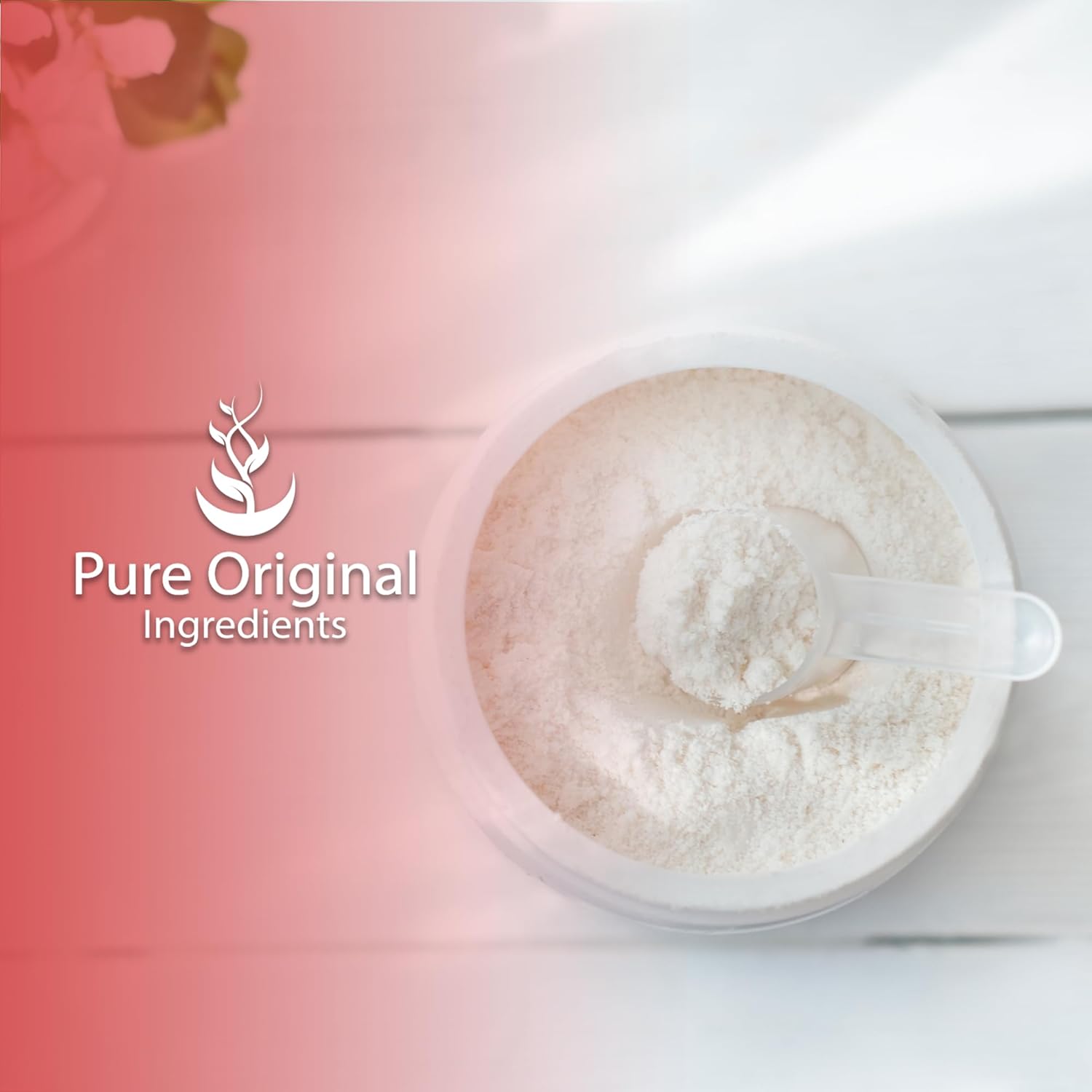 PURE ORIGINAL INGREDIENTS L-Histidine Powder 4 oz, Amino Acid Supplement, No Additives, Always Pure