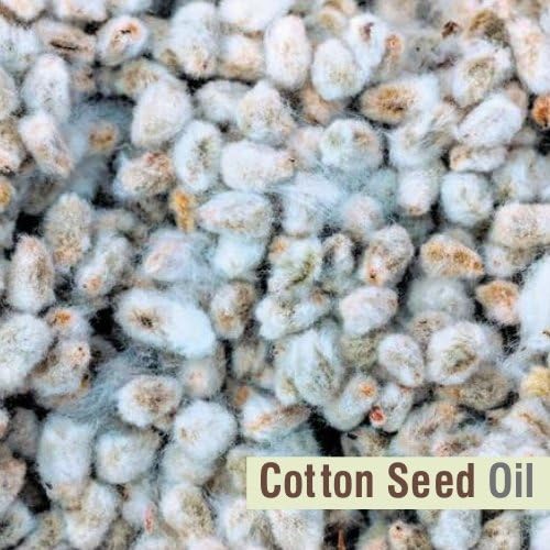 Salvia Cotton Seed Oil 100% Pure & Natural Undiluted Carrier Oil | Use for Aromatherapy | Therapeutic Grade - 100 ML