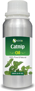 Catnip (Nepeta cataria) Essential Oil 100% Pure & Natural Undiluted Uncut Oil | Best for Aromatherapy (250 ml (8.45 oz))