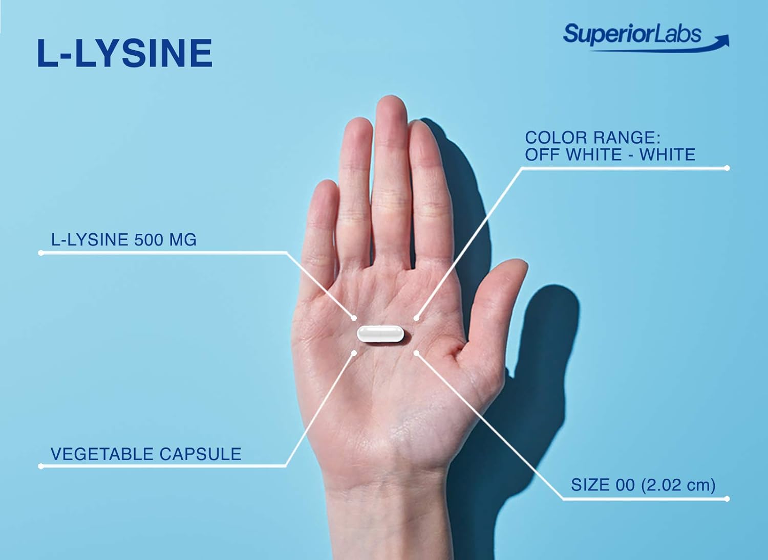 Superior Labs L-Lysine 500 mg Capsules, Pure Non-GMO, Third-Party Tested, No Fillers, Gluten Free, Supports Immune System, Promotes Calcium Absorption, 120 Caps