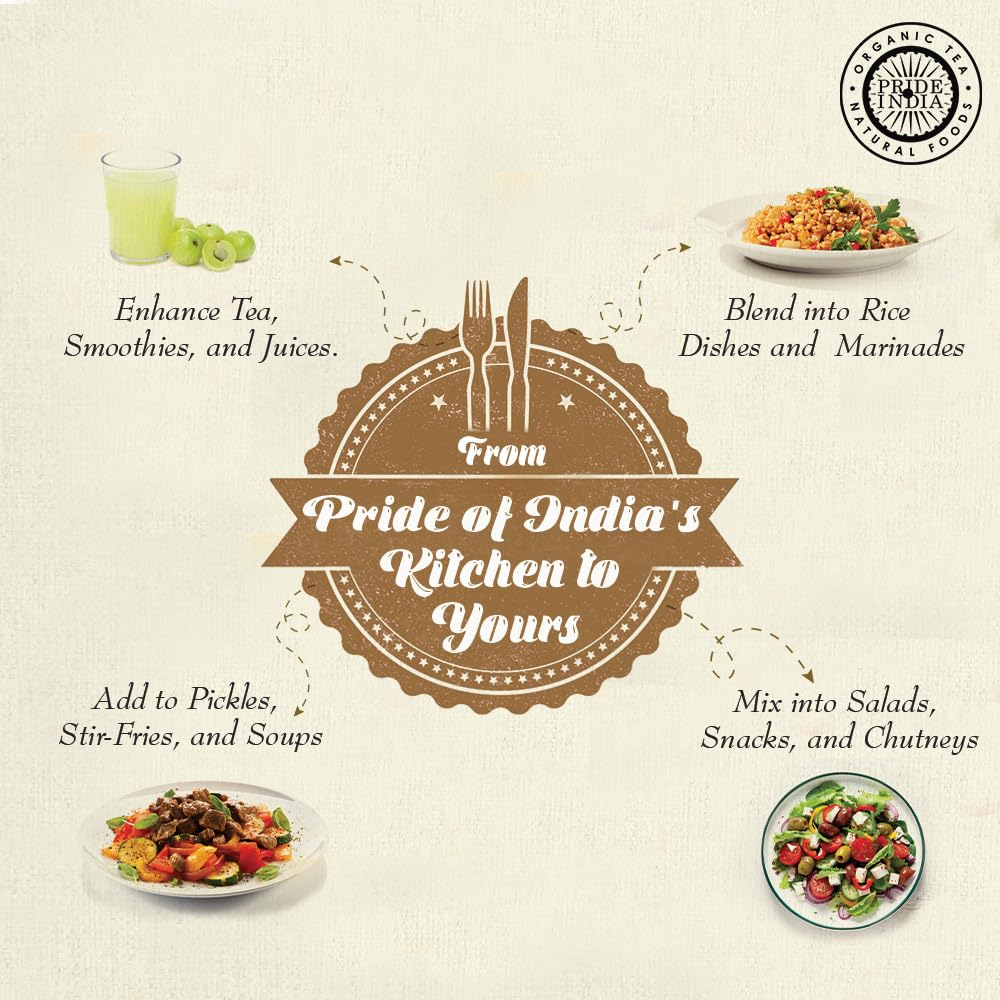 Pride of India - PACK of 6 - Amla Powder – Gourmet Spice – Tangy & Savory – Pure Indian Gooseberry Ground – Antioxidant Rich – GMO/Gluten Free – Easy to Use – 7 oz. Medium Dual Sifter Jar