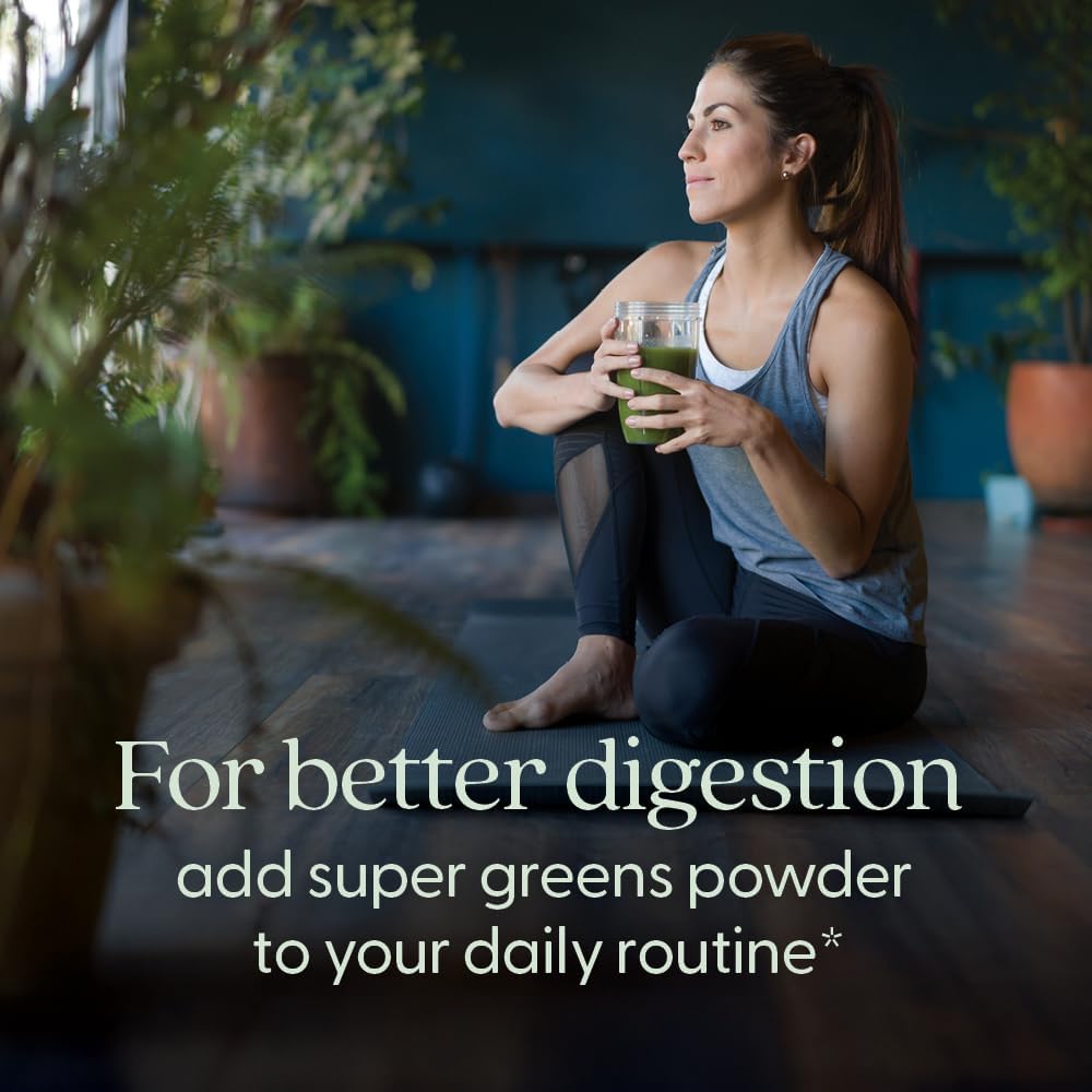 New Chapter All-Flora Digestive Super Greens Powder for Gut Health - Clinical-Strength Digestive Enzymes + USDA Organic Chlorella, Spirulina, Fermented Greens – Delicious & 100% Vegan, 30 Servings