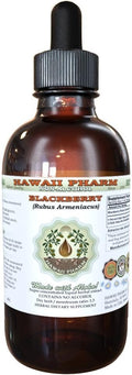 BlackBerry Alcohol-Free Liquid Extract, BlackBerry (Rubus Armeniacus) Root Glycerite Hawaii Pharm Natural Herbal Supplement 4 oz