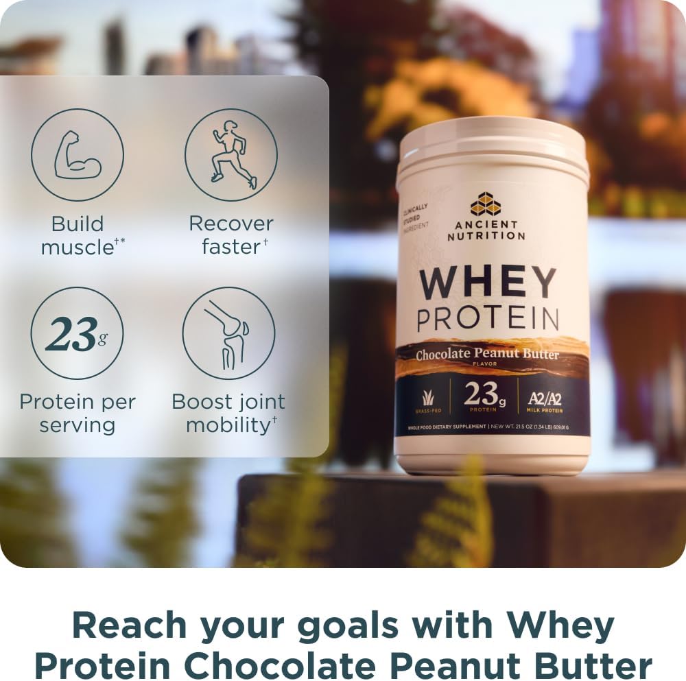 Ancient Nutrition Grass Fed Whey Protein, Chocolate Peanut Butter, 23g Protein, 18 Servings, Hydrolyzed Collagen Peptides, Organic Regenerative A2/A2 Milk Protein