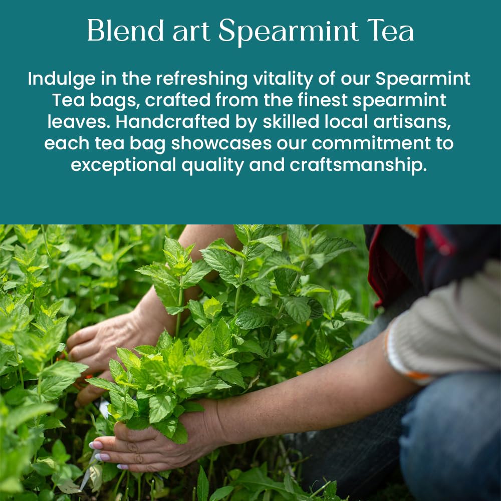 Spearmint Tea Bags 50 Count Herbal Tea Bags PCOS RELIEF Balances Hormones Support Digestion Refreshing Aromatic and Minty Gluten Free Caffeine Free Tea 100% Pure Spearmint leaves Pyramid Tea bags
