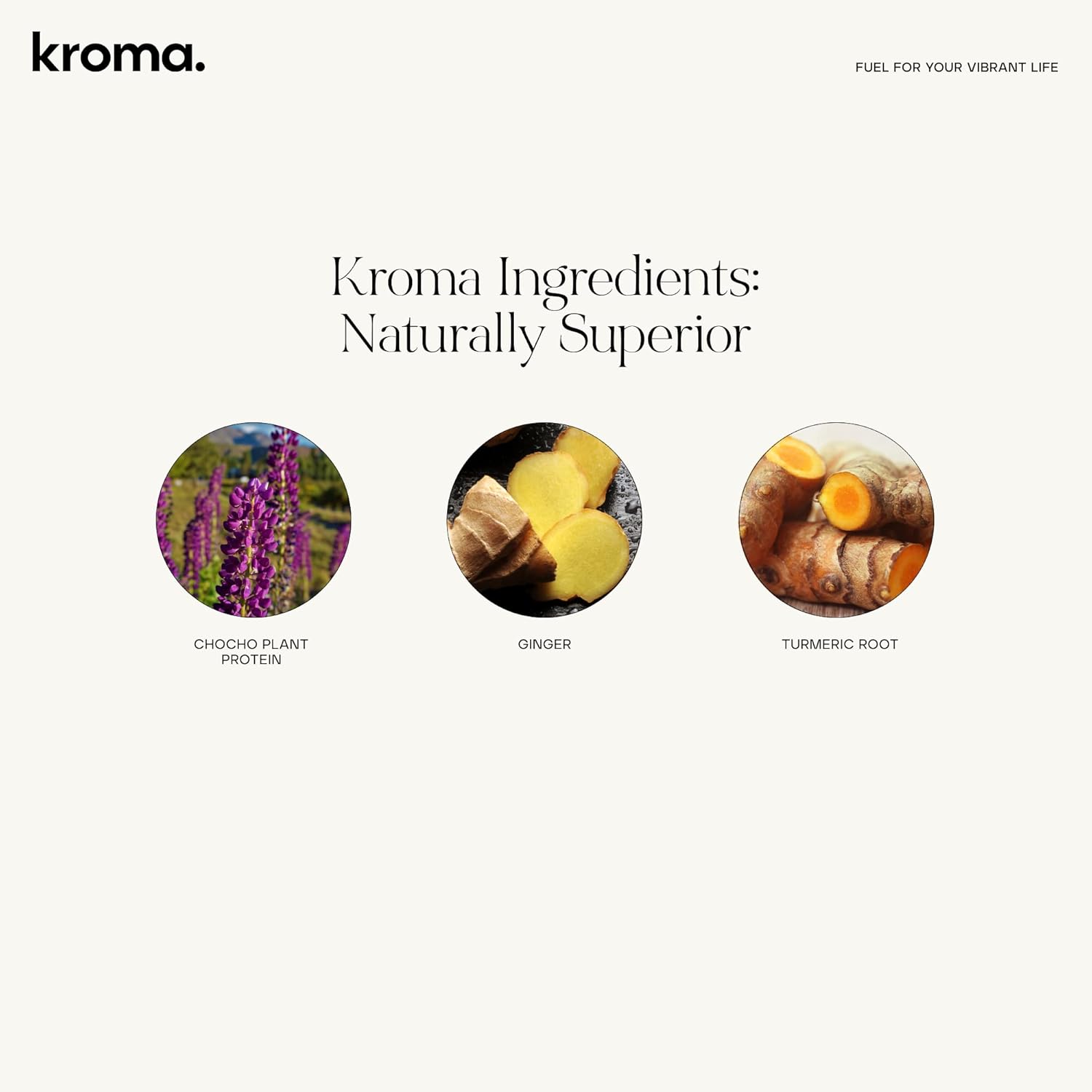 Kroma Vegan Vegetable Broth Powder w/ Plant Protein 7 Servings Travel Packs, 4.5 Oz – Red Miso Blend, Vegetables, Turmeric & Chocho Plant Protein Vegetable bouillon powder– Non-GMO Veg Stock – Makes Nourishing Soups and Stews