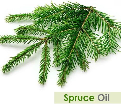 Spruce Oil (Tsuga Canadensis) Therapeutic Essential Oil with Dropper Amber Bottle 100% Natural Uncut Undiluted Pure Cold Pressed Aromatherapy Premium Oil - 15ML/ 0.5 fl oz