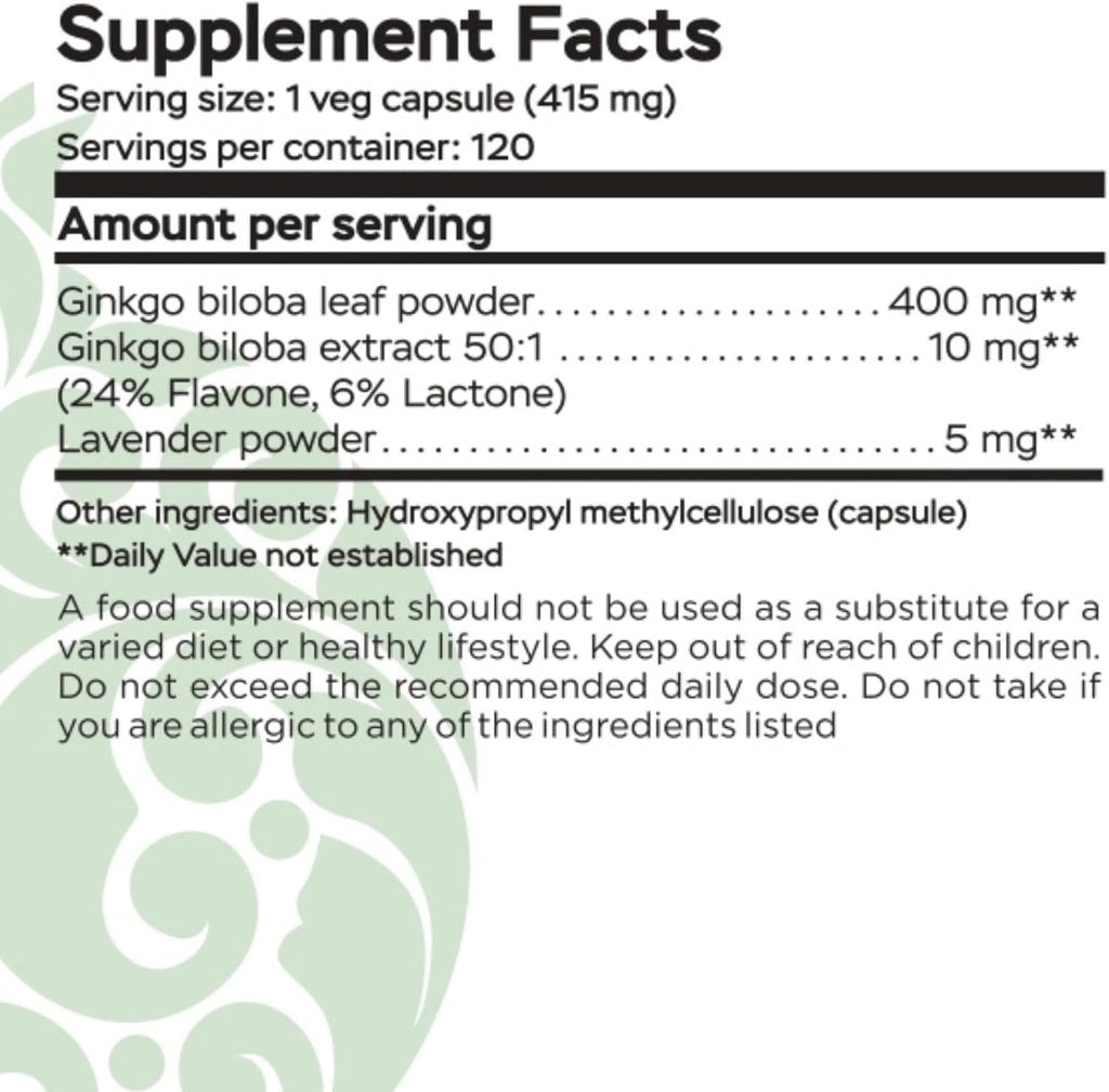 Ginkgo Biloba Support Brain Function, Supplements for Memory and Focus, Natural Antioxidant-Rich, Promotes Overall Health, 120 Vegetarian Capsules, GMP, 120 Count (Pack of 3)
