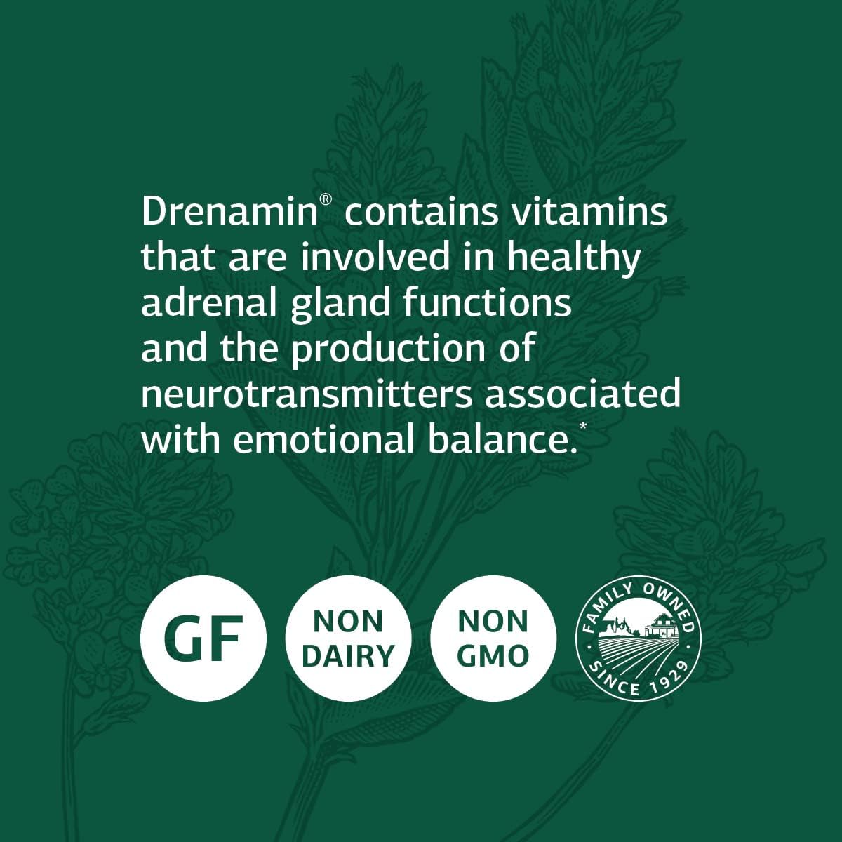Standard Process Drenamin - Whole Food Antioxidant, Adrenal Support and Immune Support with Shitake, Alfalfa, Rice Bran, Riboflavin, Calcium Lactate, Choline - 270 Tablets