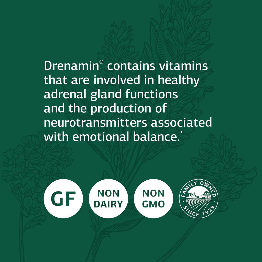 Standard Process Drenamin - Whole Food Antioxidant, Adrenal Support and Immune Support with Shitake, Alfalfa, Rice Bran, Riboflavin, Calcium Lactate, Choline - 90 Tablets