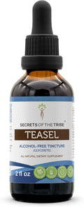 Secrets of the Tribe Teasel Alcohol-Free Liquid Extract, Teasel (Dipsacus fullonum, Dipsacus sylvestris) Dried Root Tincture Supplement 2 oz