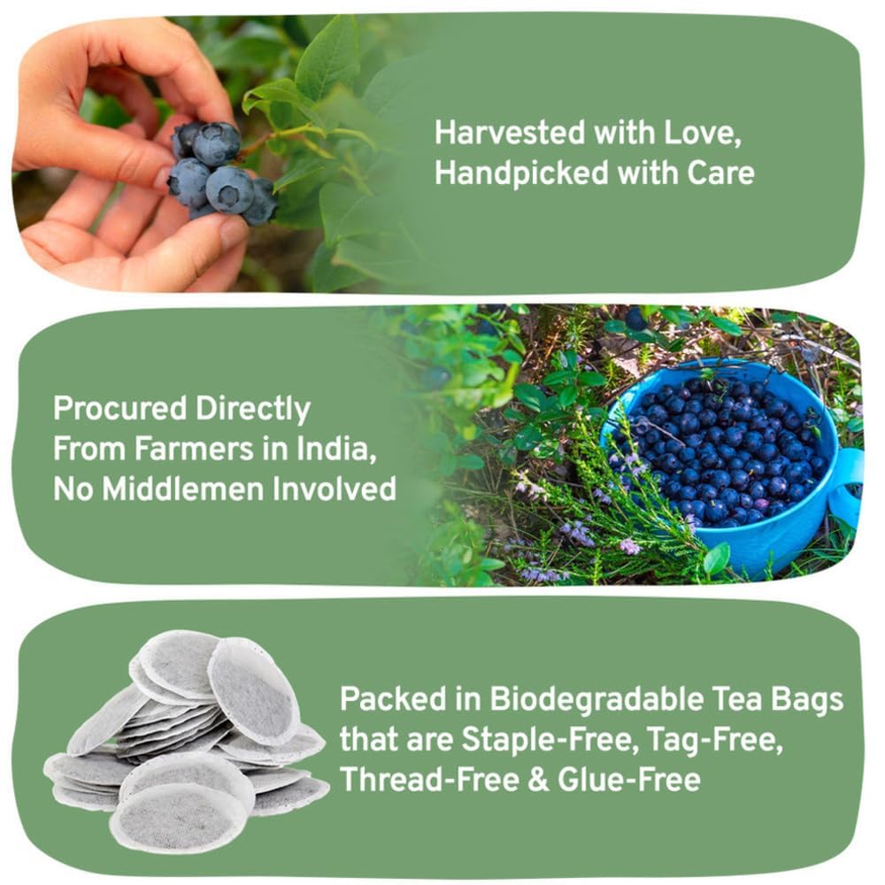 HANDPICK, Wild Blueberry Tea Bags (100 Count), True Premium Blueberry Herbal Tea with Hibiscus, Rose & Licorice | Brew Iced/Hot Tea
