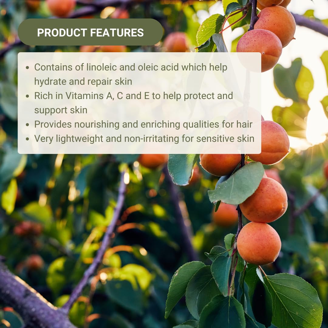 Apricot Kernel Oil - Direct from Spain and Turkey - 100% Pure Carrier Oil for Hair, Face, and Skin - Cold-Pressed Carrier Oils (1 Gallon)