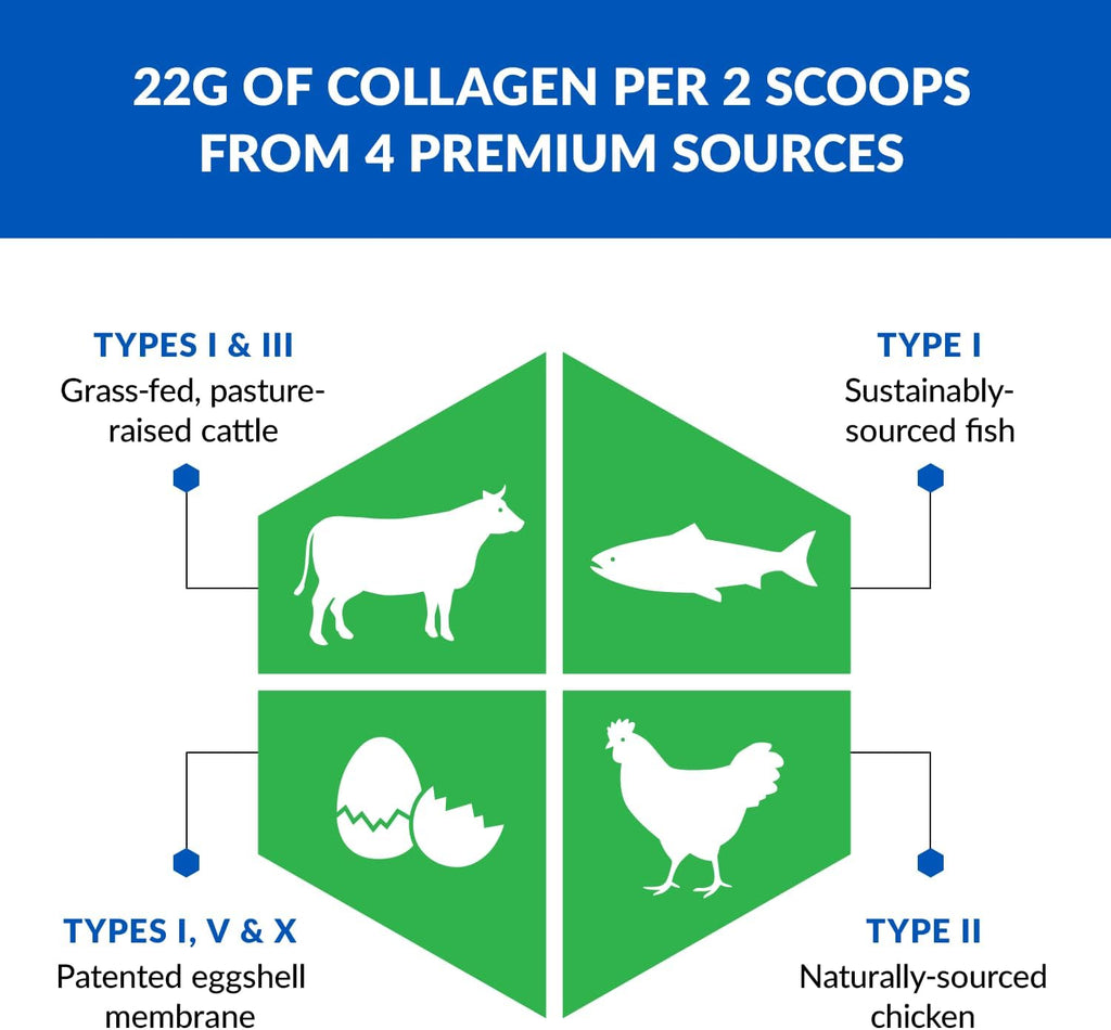 BioTrust Ageless Multi Collagen Peptides Powder – 5 Types (I, II, III, V, X) – Unflavored Collagen Powder for Women & Men – Hydrolyzed Protein – Grass Fed Beef, Fish, Chicken, Eggshell Membrane, 3-pk
