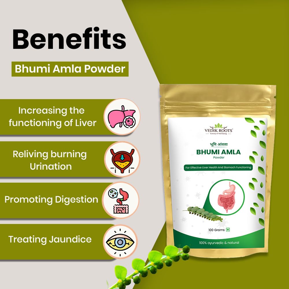 Vedikroots Bhumi Amla Powder/Churn - Organic And Pure Ingredient Extract For Healthy Liver Functioning And Digestive Strength Enriched With Essential Nutrients (100 GM) (100 g (Pack of 1))
