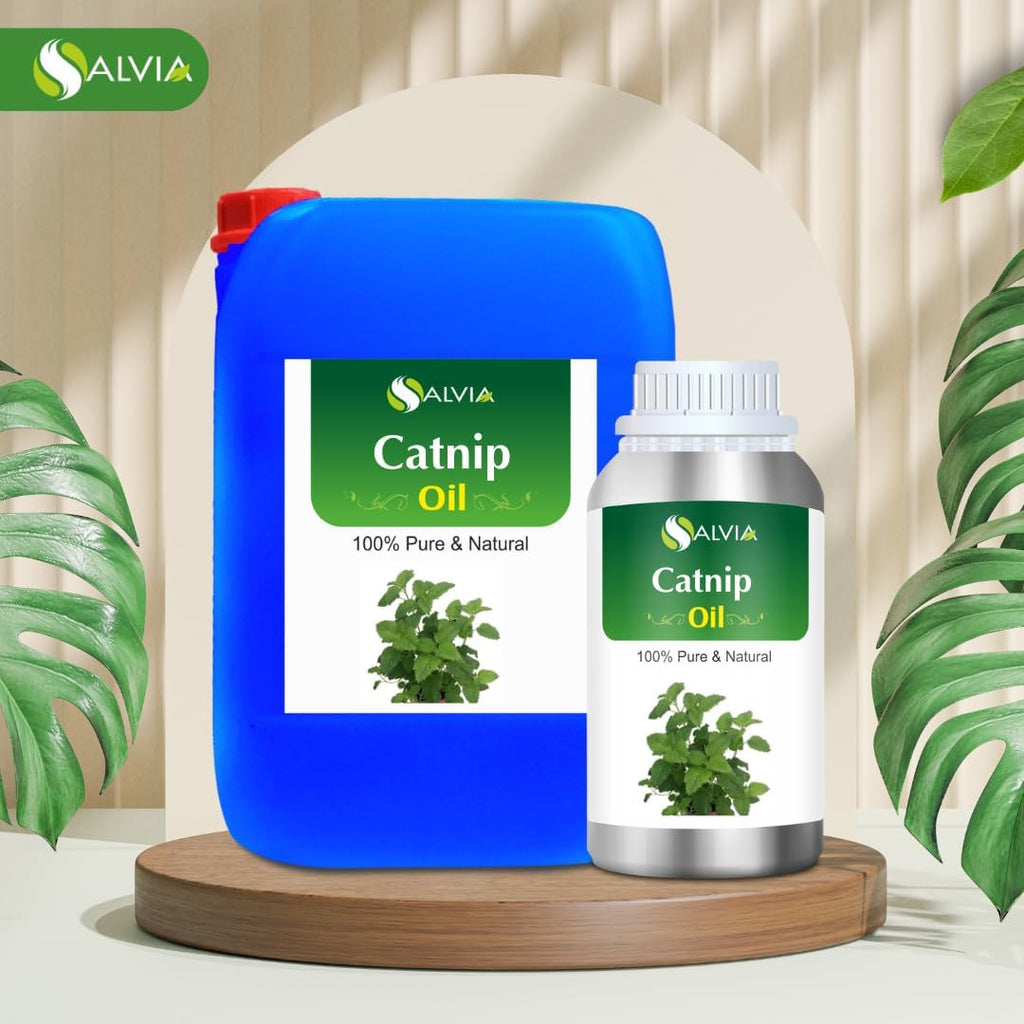 Catnip (Nepeta cataria) Essential Oil 100% Pure & Natural Undiluted Uncut Oil | Best for Aromatherapy (250 ml (8.45 oz))