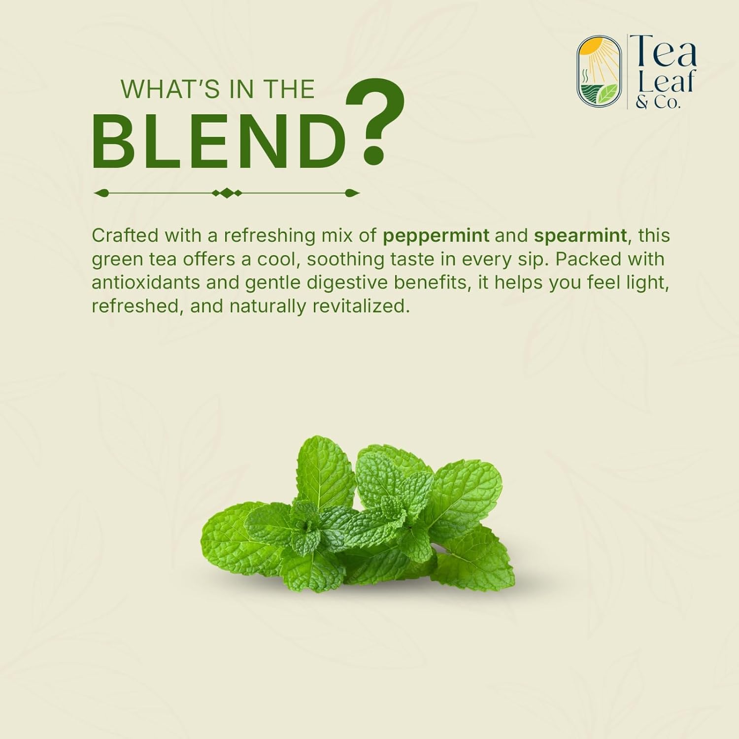 Tealeaf & Co. Mint Green Tea Bags Blended with Fresh Herbs - Spearmint & Peppermint Tea - Contains Low Caffeine - Gluten Free - 100 Teabags (7.055oz/200gm)