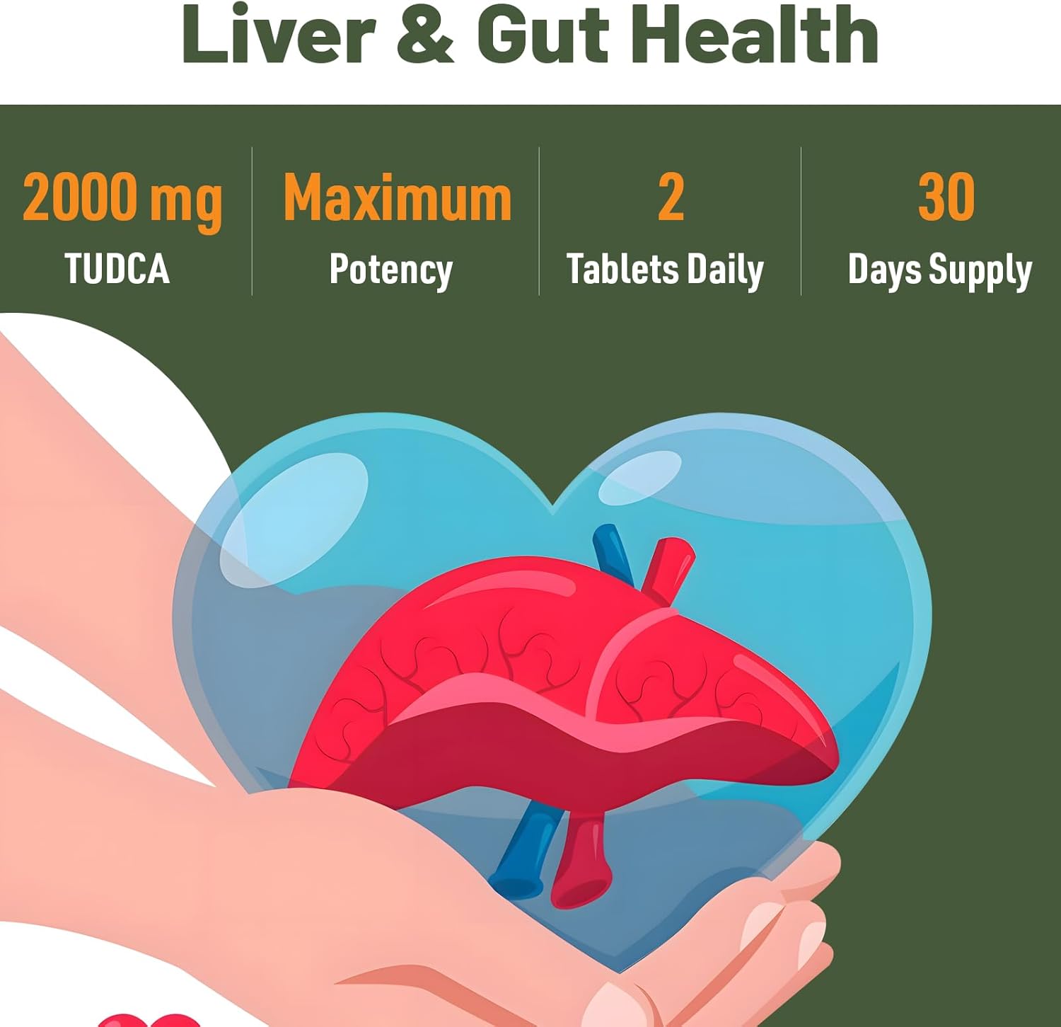 TUDCA Liver Supplements 2000mg - Strong Bile Salts Support Liver Detox & Cleanse - Liver and Gallbladder Health Formula-Easy to Swallow Tablets-60 Days Supply