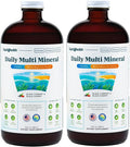LIQUIDHEALTH Daily Multi Mineral Liquid Supplement with Fulvic Acid, Plant Based Ionic Aquamin Sea Trace Ocean Minerals - Immune Support, Energy, Gut Health, Detox - Made in USA, Vegetarian (2 Pack)