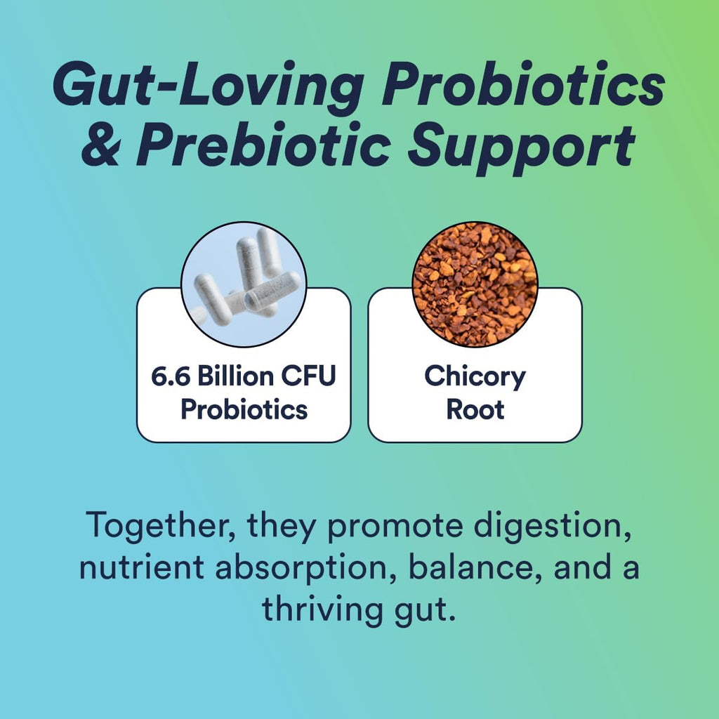 Cira Hydration + Gut Health Powder (45 Servings) - Electrolyte Drink Mix with Prebiotics & Probiotics for Digestion, Hydration & Recovery - Naturally Flavored with Stevia - Blueberry Pomegranate