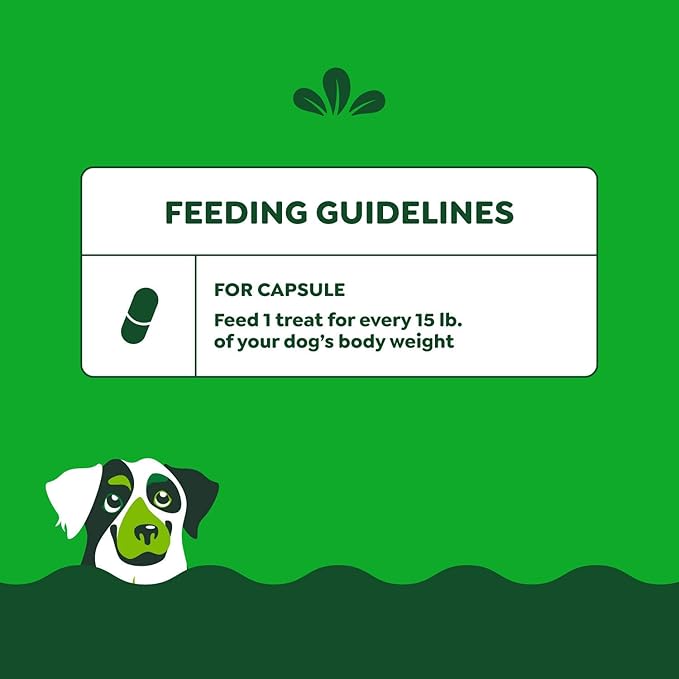 Greenies Pill Pockets for Dogs Large Size, Dog Treat Pouch for Capsule Medication, Chicken Flavor, (6) 7.9 oz. Pouches