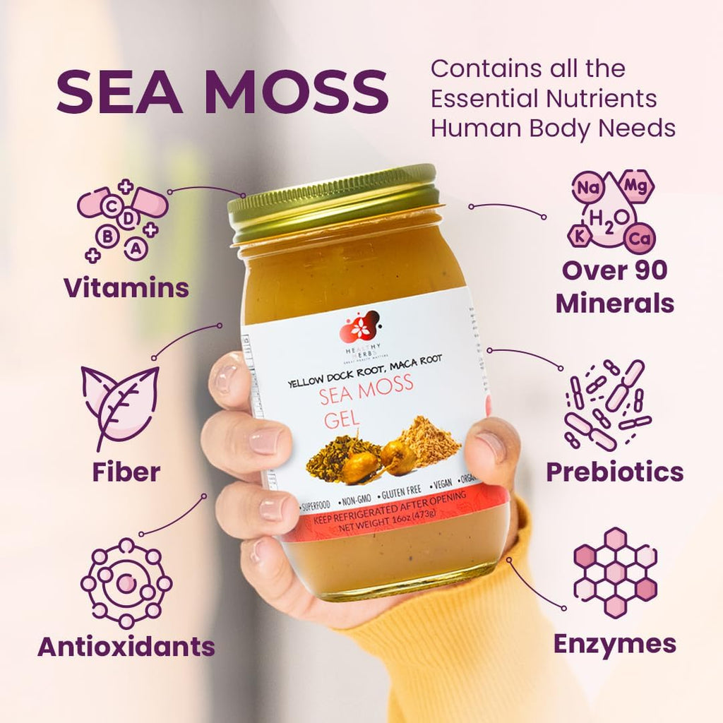 Healthy Herbs Sea Moss Gel (Yellow Dock) Wildcrafted from Jamaican St Lucia Gold Seamoss | Wild-Harvested Superfood With Over 90 Essential Vitamins & Minerals | Vegan, Non-GMO, US-Made (16 oz.)
