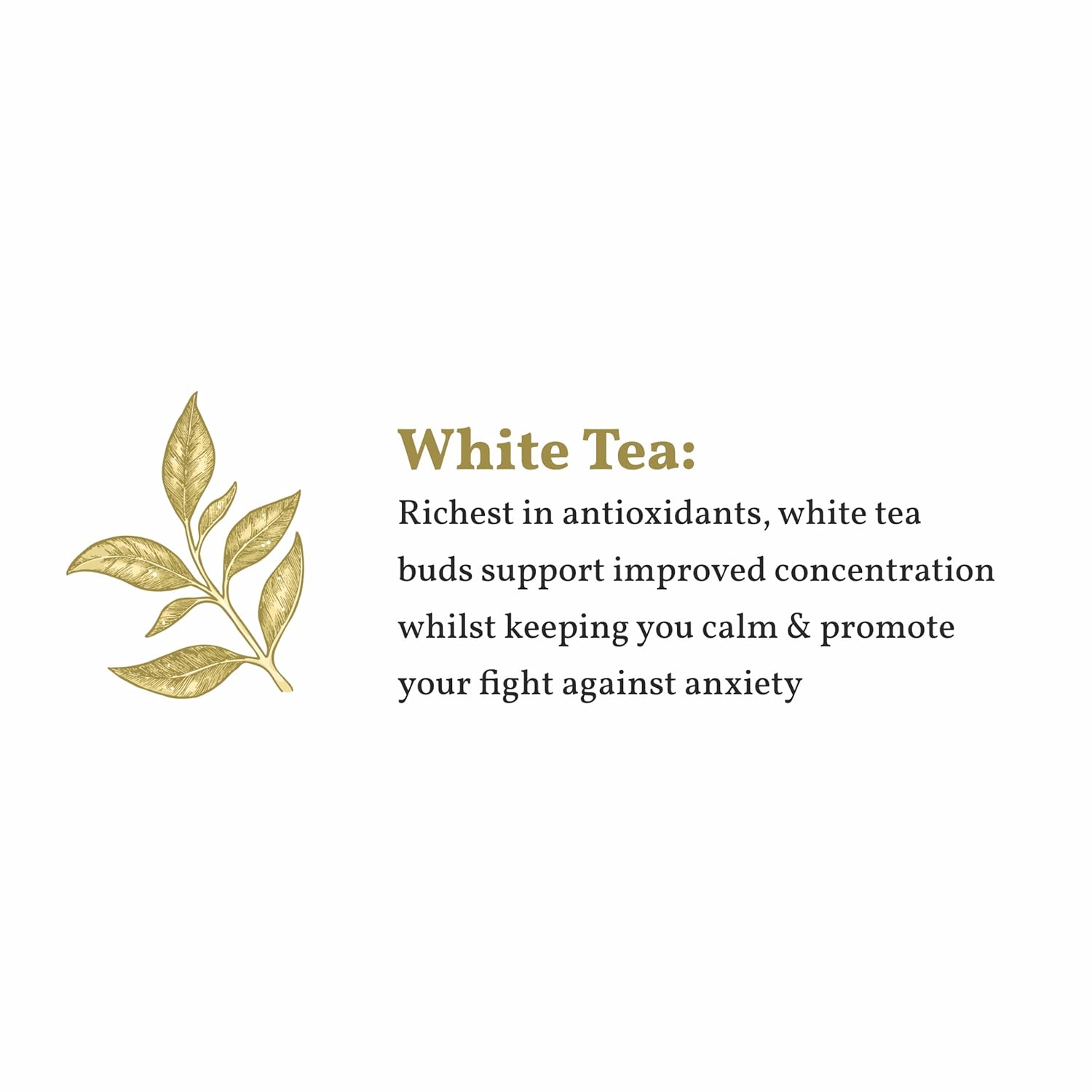 Sancha Tea Boutique Super White Tea | Silver Needle White Tea | 25g Loose Leaves from Darjeeling | Rich in Antioxidants | Sweet & Delicate Luxury Tea