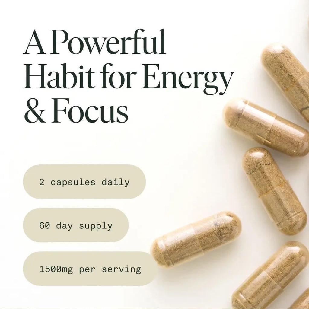 Mushroom Supplement with Lions Mane, Chaga & Cordyceps, Focus, Energy & Brain Support, Adaptogens Capsules, 100% USDA Organic Mushrooms Complex Blend - Vegan, Glass Jar 120 Caps, 2 Month Supply
