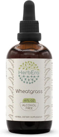Wheatgrass B120 Alcohol-Free Herbal Extract Tincture, Concentrated Liquid Drops Natural Wheatgrass (Triticum aestivum) Dried Leaf (4 fl oz)